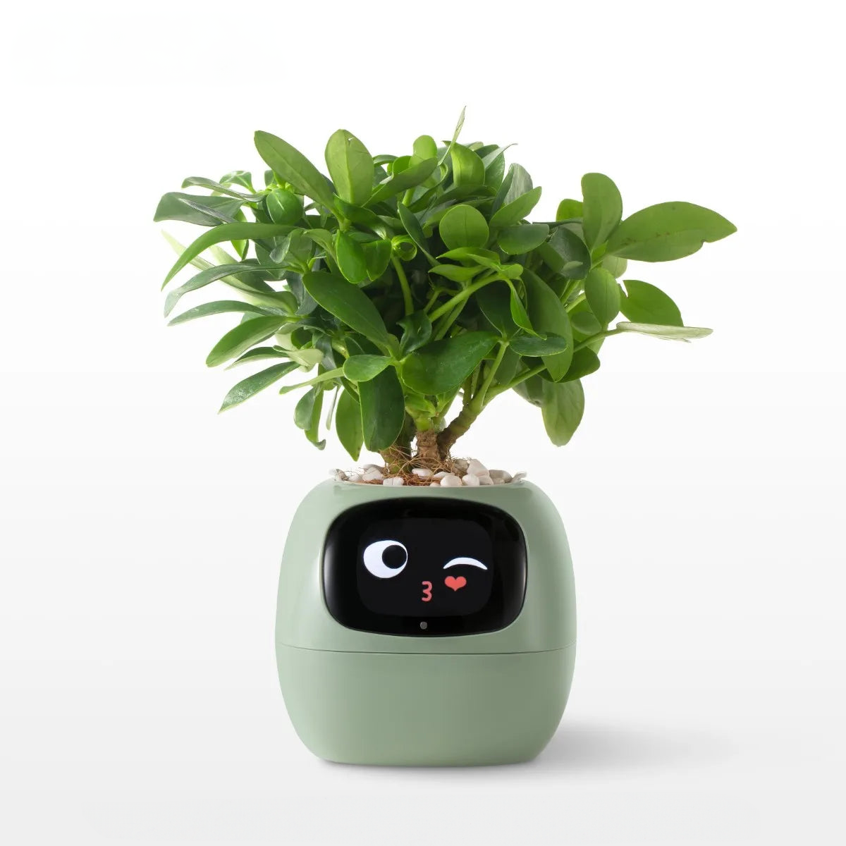 Plant Buddy AI Smart Planter