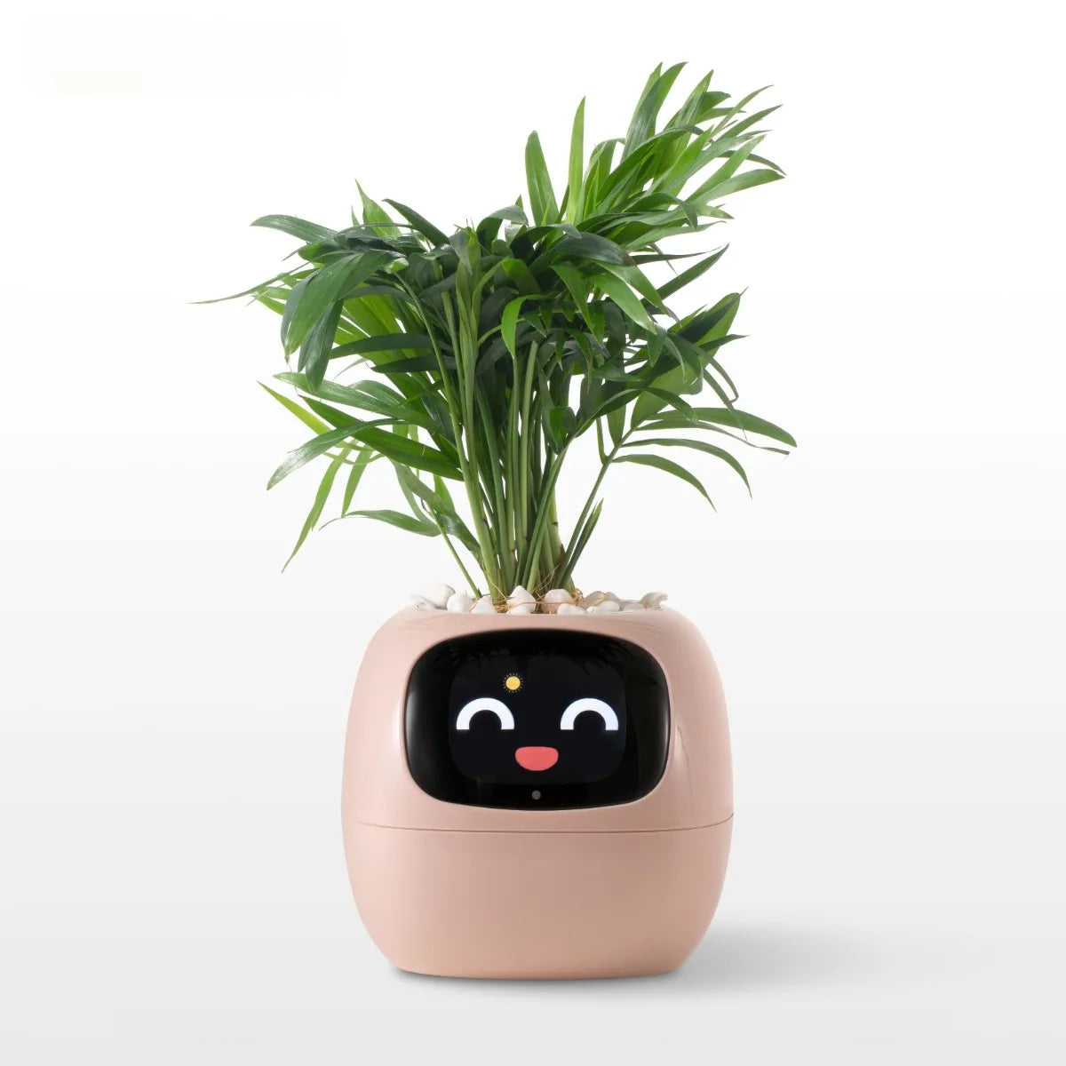 Plant Buddy AI Smart Planter