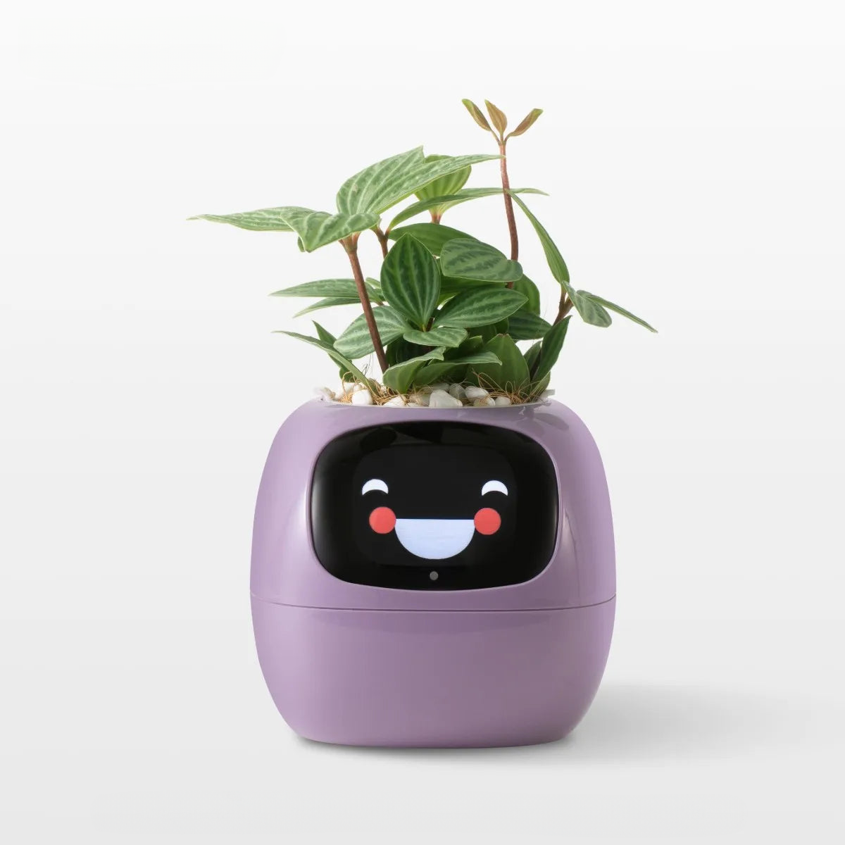 Plant Buddy AI Smart Planter