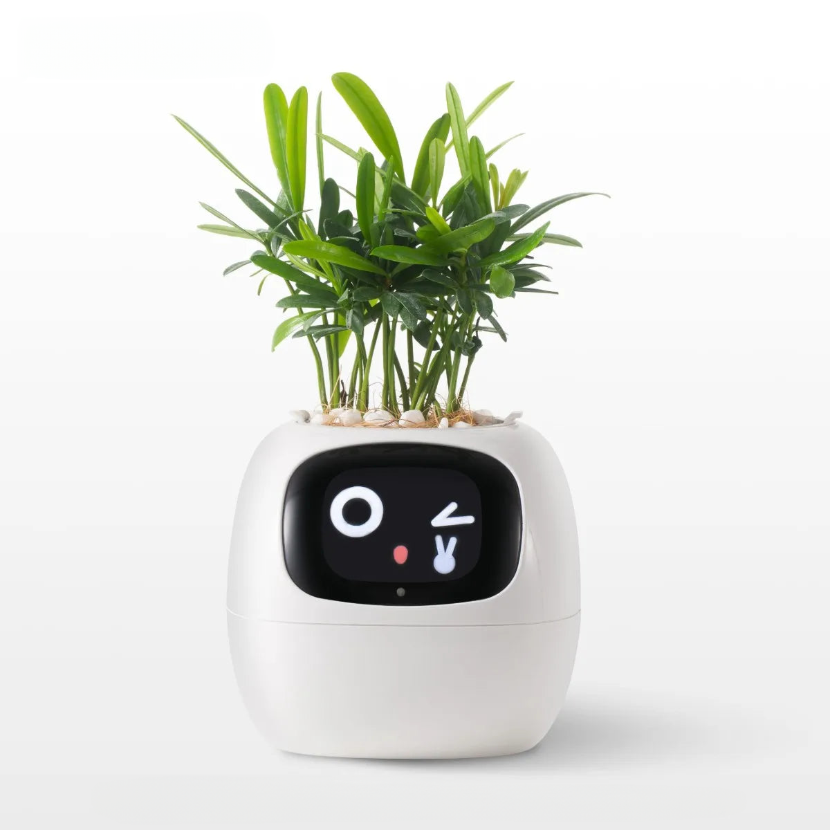 Plant Buddy AI Smart Planter