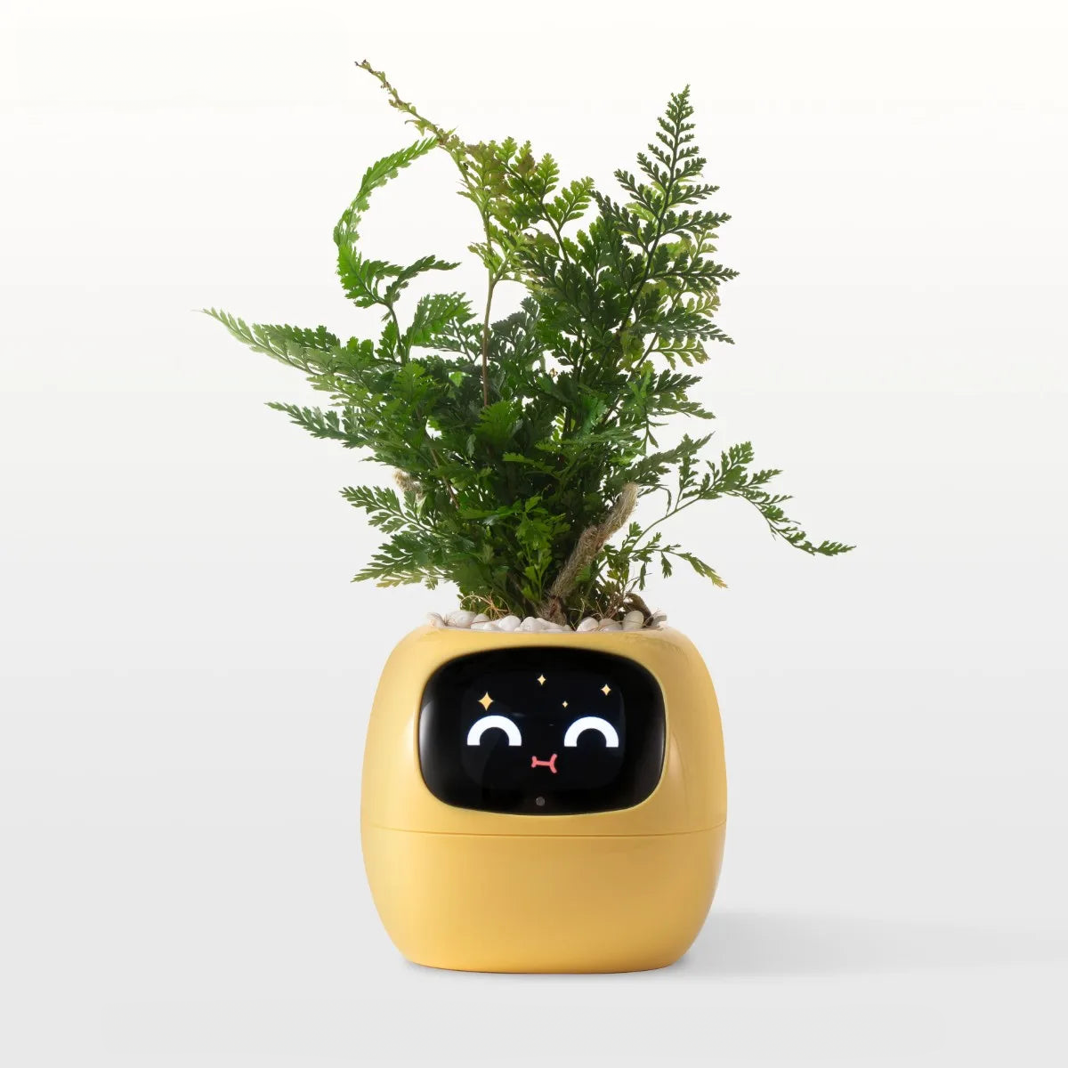 Plant Buddy AI Smart Planter